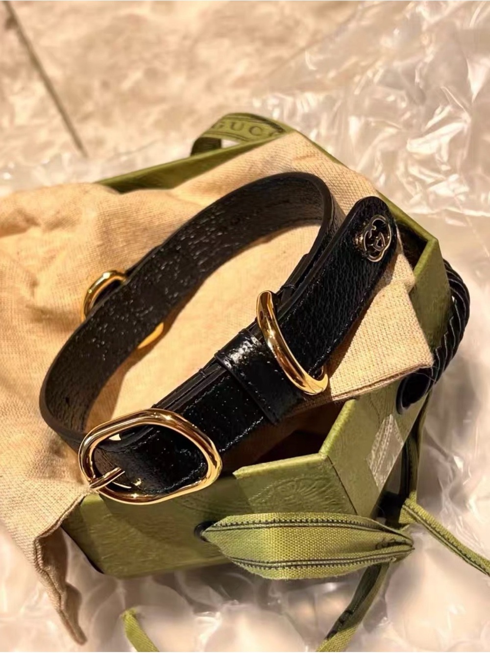 NWT Gucci Pet Collar Black Leather Gold-Tone Buckle